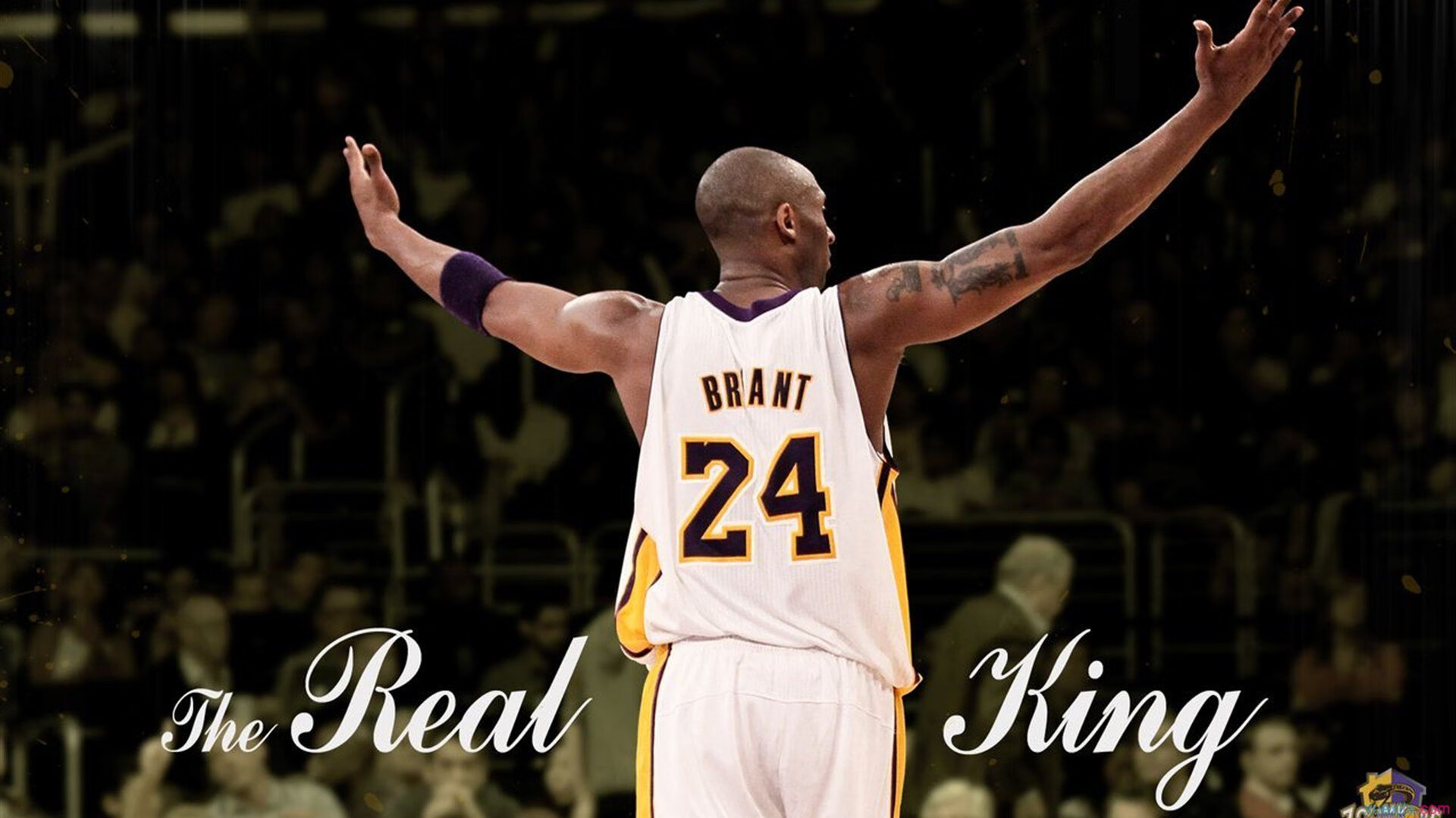 华体会体育官方网址-卢卡库:从贫民窟到豪门,魔兽的奋斗之路,卢卡库最新动态